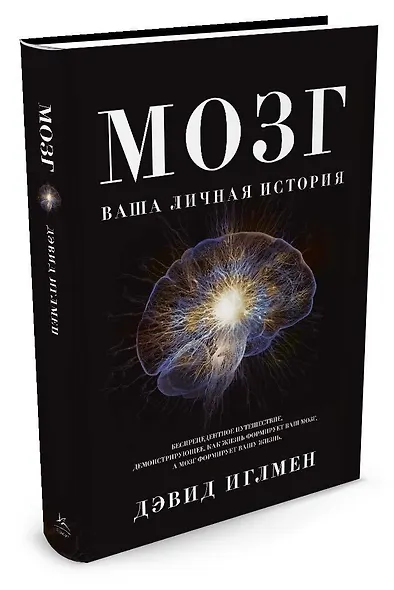 Мозг. Ваша личная история - фото 2