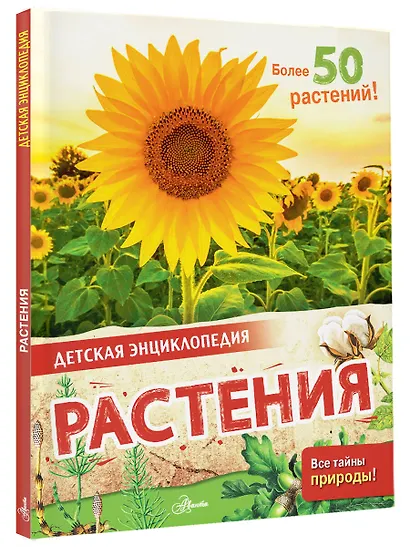 Растения - фото 3