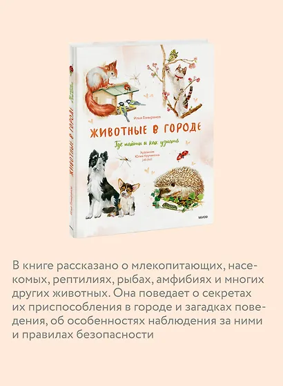 Животные в городе. Где найти и как узнать - фото 6