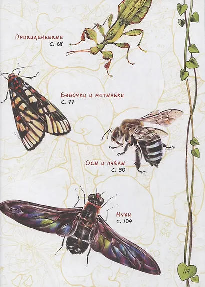 В джунглях не только тигры. Бабочки-стрекозки - фото 3