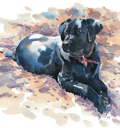 Животные акварелью. Пособие по анималистическому рисунку. 8 пошаговых уроков - фото 7