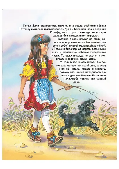 Волшебник Изумрудного города. - фото 10
