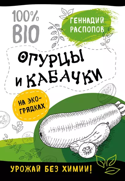 Огурцы и кабачки на эко грядках. Урожай без химии - фото 1