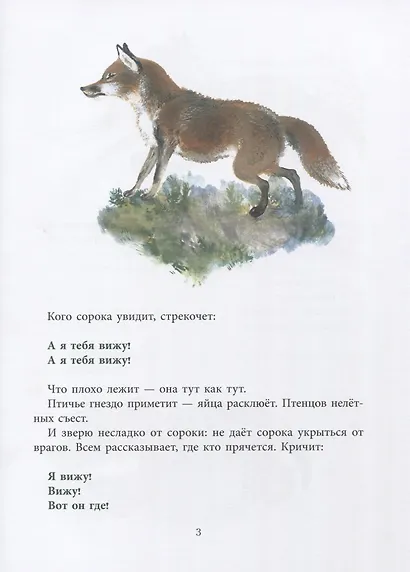 Болтливая сорока - фото 9