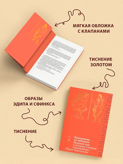 Психоанализ: на любителя. Вводный курс в историю и теорию психоанализа - фото 6