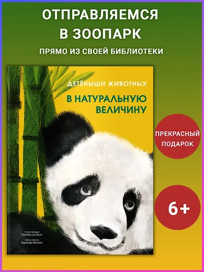 Детёныши животных в натуральную величину - фото 3