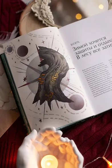 4 сезона волшебства. Тайные послания и рецепты, нашептанные лесом - фото 10