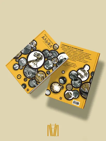 Альфа... направления - фото 5