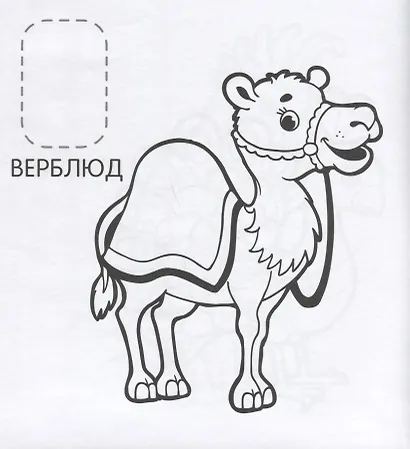 Удивительные животные - фото 5