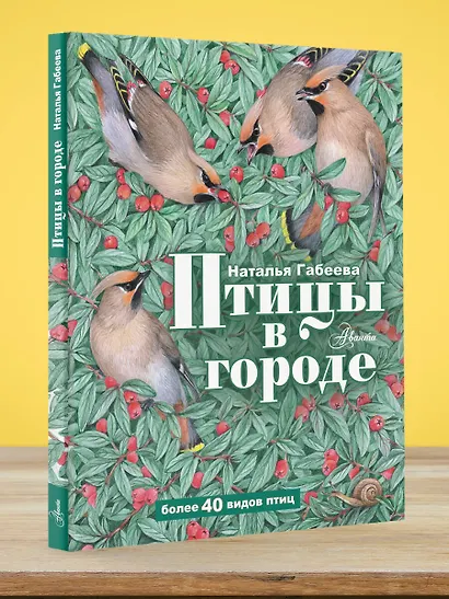 Птицы в городе - фото 4