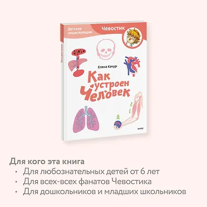 Как устроен человек. Детская энциклопедия (Чевостик) (Paperback) - фото 6