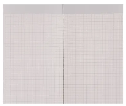 Ежедневник недат. А6+ 122x193 мм 120л "Наппа металлик" розовый, кожзам, мягк.переплет, застёжка-резинка,офсет, ляссе - фото 8