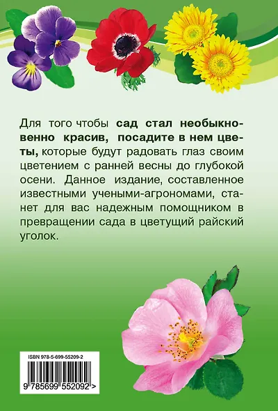 Лучшие цветы для вашего сада - фото 2