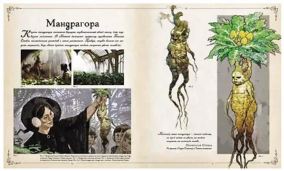 Гарри Поттер. Фантастические существа - фото 9