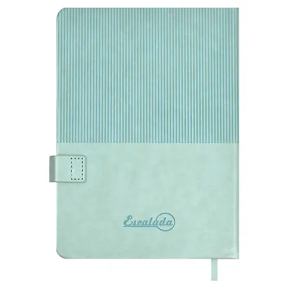 Ежедневник недат. А6+ 120л 126х174 "Гоутскин" мятный, иск.кожа, тв.переплёт, блинт.тиснение, магнит.клапан офсет, ляссе - фото 10