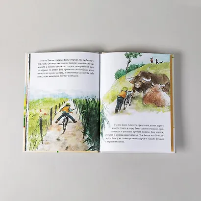 Как Тима укусила лошадь - фото 5