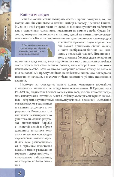 ЭНЦИКЛОПЕДИЯ. В МИРЕ ЗНАНИЙ. ВСЁ О КОШКАХ - фото 3