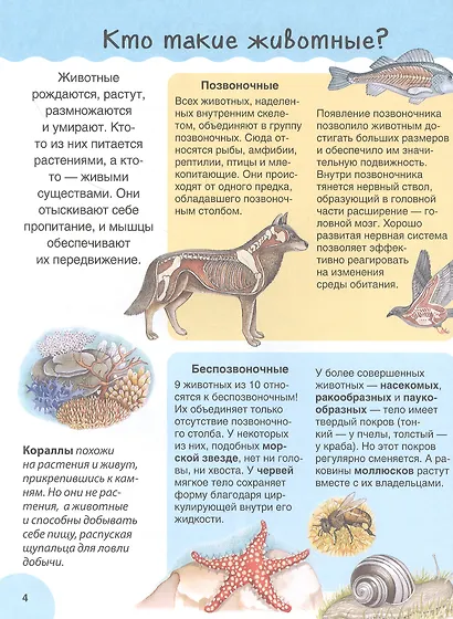 Животные. Детская иллюстрированная энциклопедия - фото 4