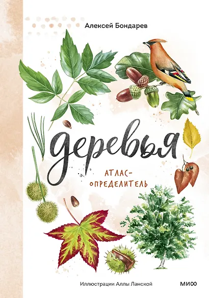 Деревья. Атлас-определитель - фото 1
