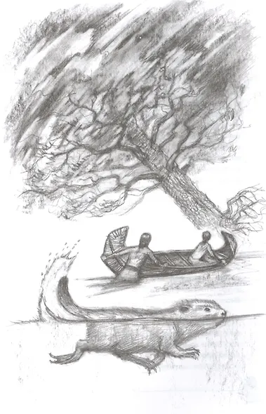 Приключения Саджо и ее бобров - фото 4