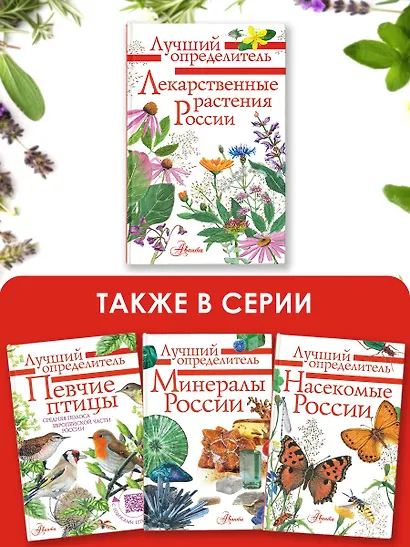 Лекарственные растения России - фото 5