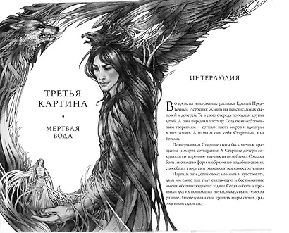Тайна чёрного волка (#2) - фото 7