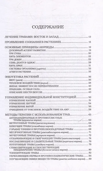 Травы и специи - фото 2