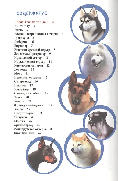ЭНЦИКЛОПЕДИЯ. В МИРЕ ЗНАНИЙ. ПОРОДЫ СОБАК ОТ А ДО Я - фото 6