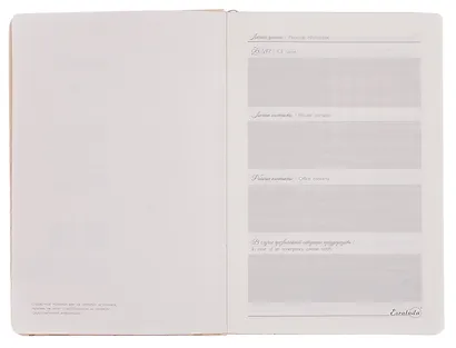 Ежедневник недат. А5 120л "Софт-тач глосс" бежевый, кожзам, мягк.переплет, тиснение 3D-фольгой, справ.мат-лы, ляссе, подар.карт.коробка с ПВХ-крышкой - фото 4