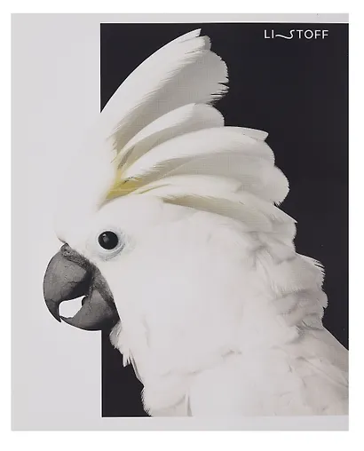 Тетрадь 48л кл. "Черно-белые животные" мел.картон, ассорти - фото 2