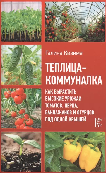 Теплица-коммуналка. Как вырастить высокие урожаи томатов, перца, баклажанов и огурцов под одной крышей - фото 1