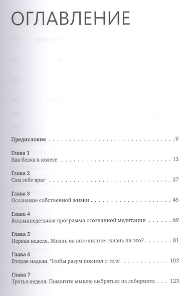Осознанность. Как обрести гармонию в нашем безумном мире - фото 4