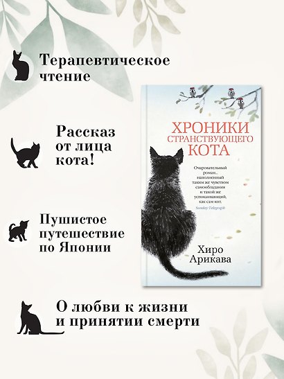 Хроники странствующего кота - фото 5