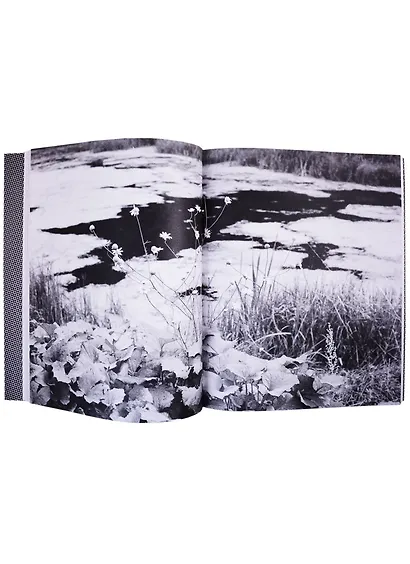 Михаил Дашевский. Родное ретро. 1962-2002. Фотографическая сага (комплект из 4 книг) - фото 2