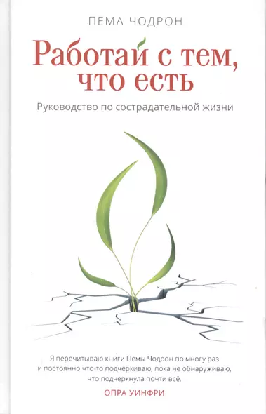 Работай с тем, что есть. Руководство по сострадательной жизни - фото 1