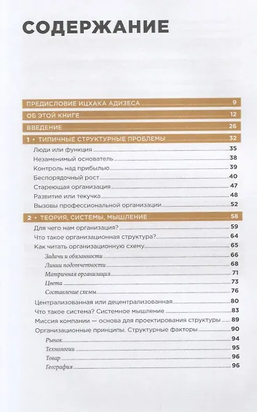 Организационная структура: Реализация стратегии на практике - фото 2