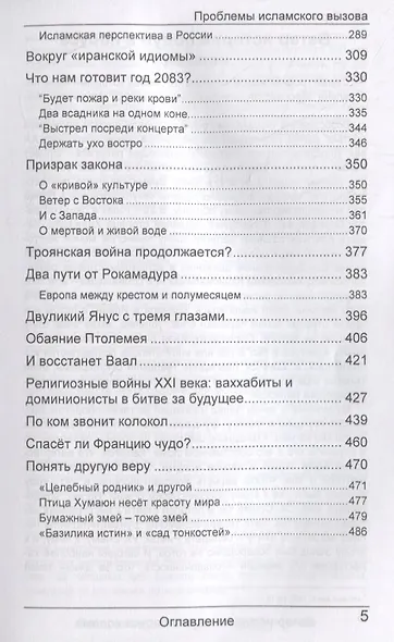 Око бури. Проблемы исламского вызова - фото 4