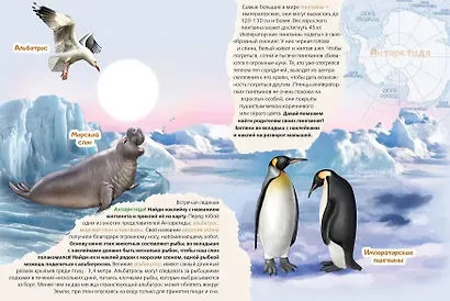 Животные на континентах. Книжка с многоразовыми наклейками - фото 2