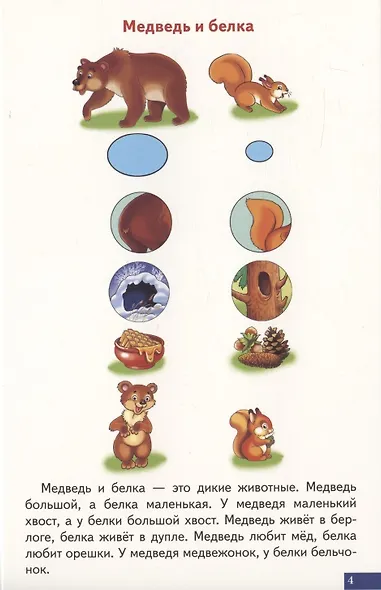 Логопедические карточки "Играй и говори! Схемы для сравнительно-описательных рассказов" - фото 5