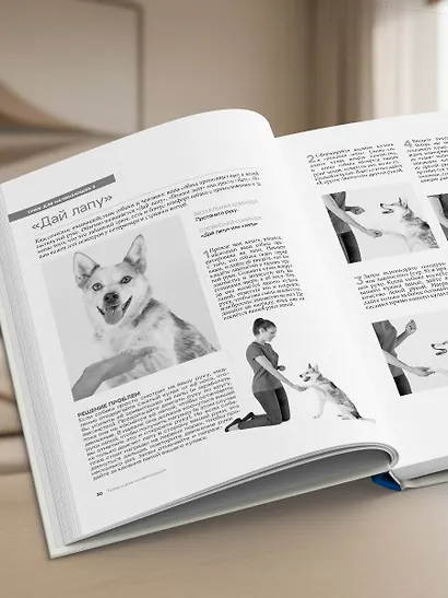 СОБАКА, которая УМЕЕТ ВСЕ. Пошаговое руководство по 118 удивительным трюкам - фото 14