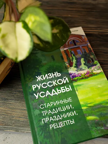 Жизнь русской усадьбы. Старинные традиции, праздники, рецепты - фото 10