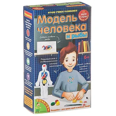Набор для экспериментов «Модель человека» Японские опыты, Науки с Буки - фото 1