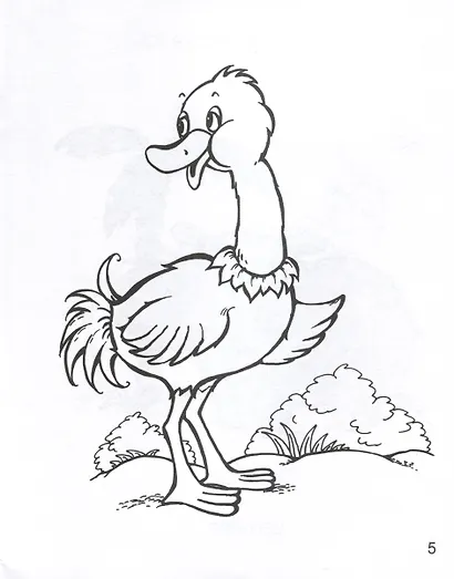 Звери и птицы из далеких стран - фото 5