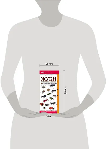 Жуки. Мир удивительных насекомых. Наглядный карманный определитель - фото 4