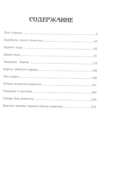 Долг Стрелка - фото 2