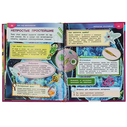 Мир под микроскопом - фото 5