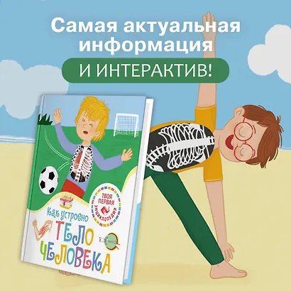 Как устроено тело человека - фото 3