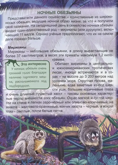 ЭНЦИКЛОПЕДИЯ. ХОЧУ ЗНАТЬ. ОБЕЗЬЯНЫ - фото 8