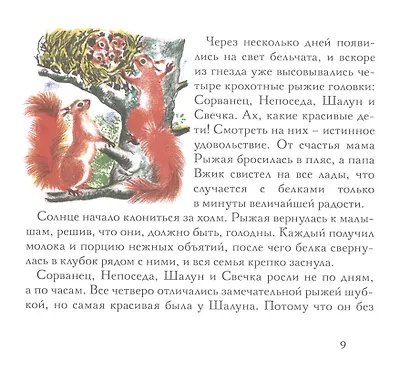 Бельчонок Сорванец - фото 3