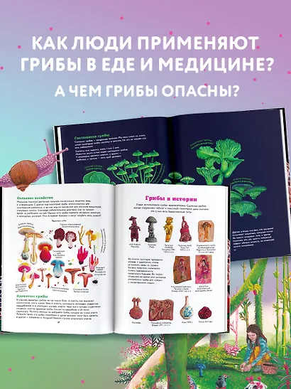 Царство грибов - фото 6